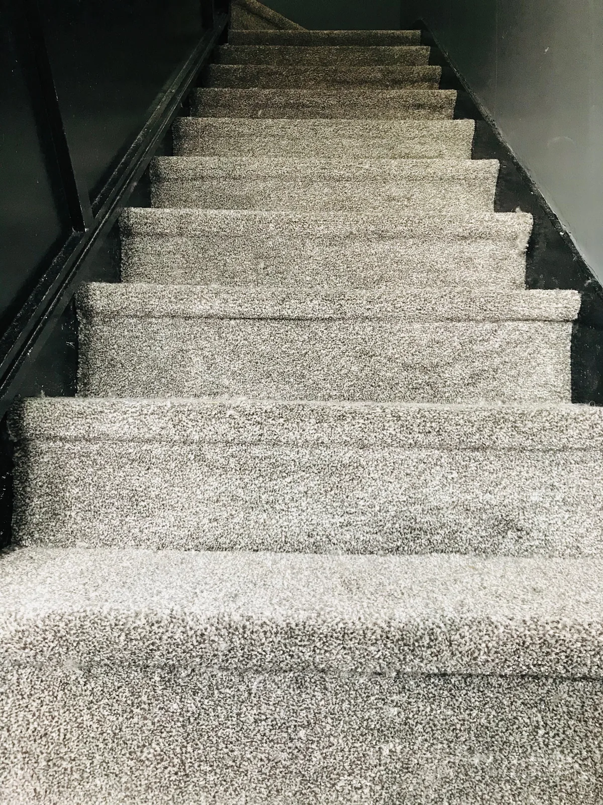 Grey carpet fitted on a straight staircase